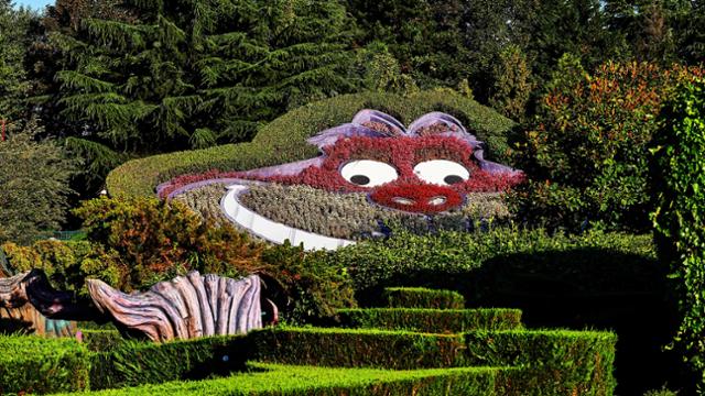 Alice's Curious Labyrinth